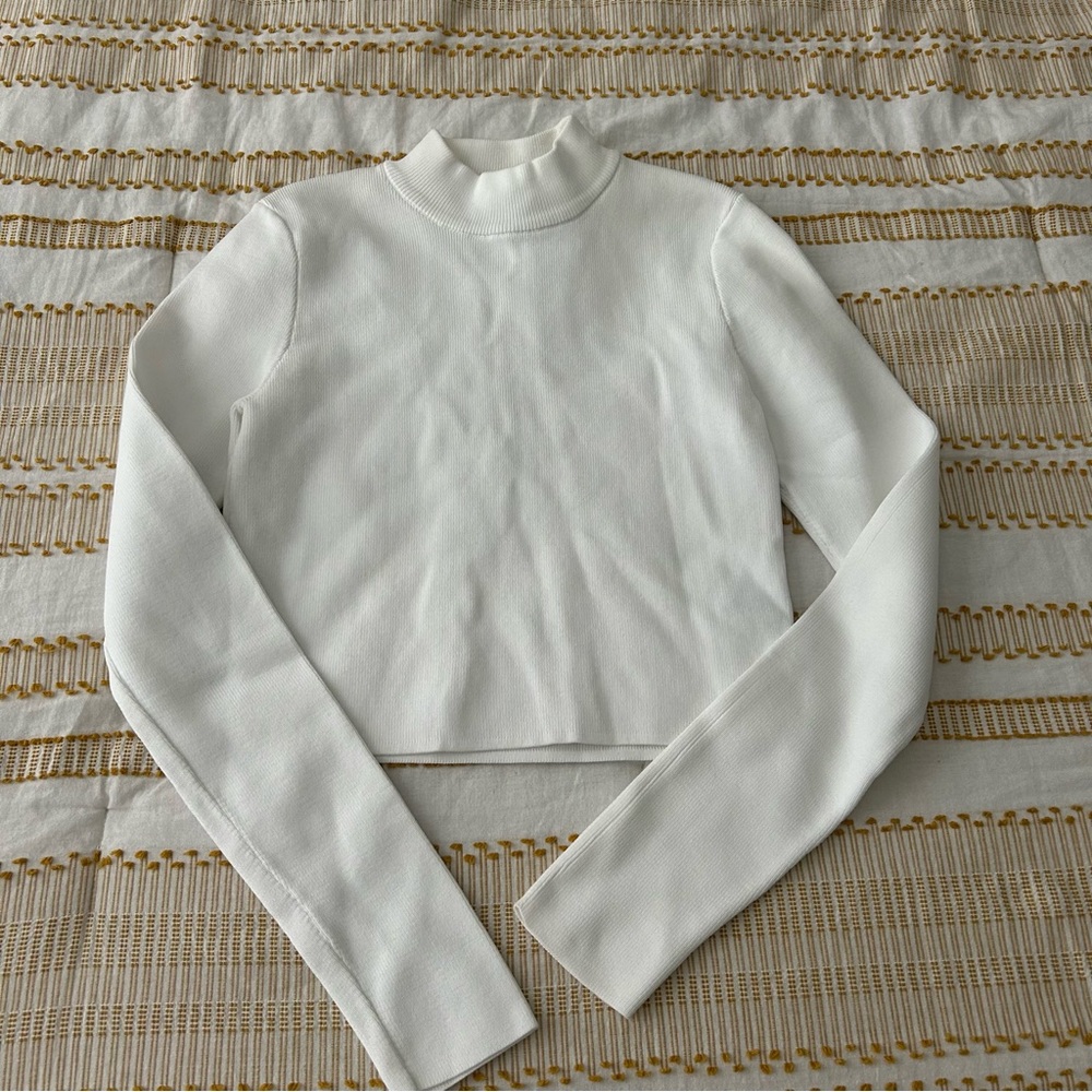 Forever 21 Turtleneck Long Sleeve Crop Top